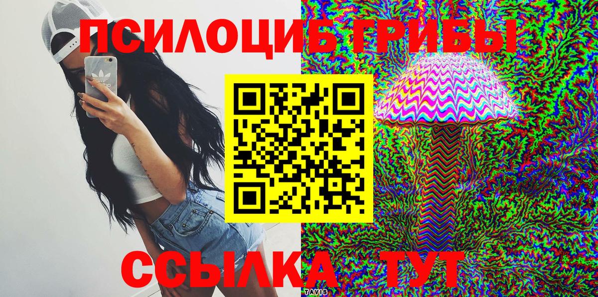 продажа наркотиков  Галлюциногенные грибы мицелий  Вход с VPN  Псилоцибиновые грибы MAGIC MUSHROOMS  Энгельс 