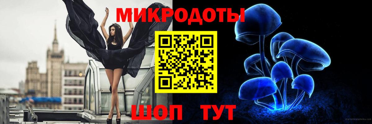 Псилоцибиновые грибы прущие грибы Энгельс